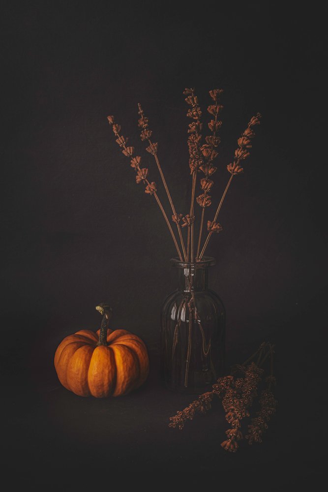 Donker herfststilleven door Cicek Kiral