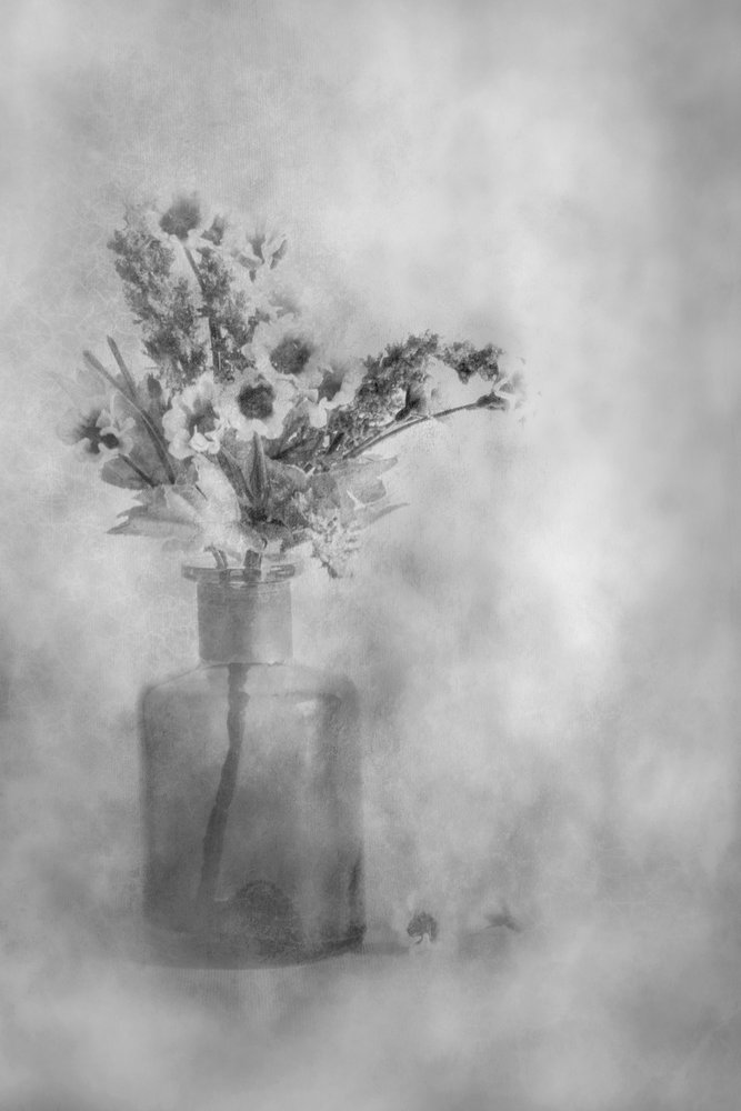 Dromerige zwart-witte bloemen door Cicek Kiral