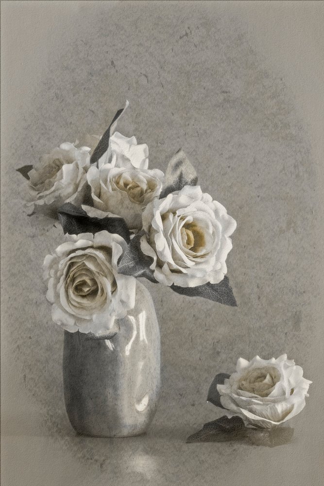 Elegante witte rozen door Cicek Kiral