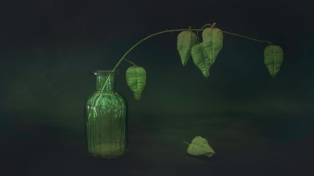 Stilleven met groene bladeren door Cicek Kiral