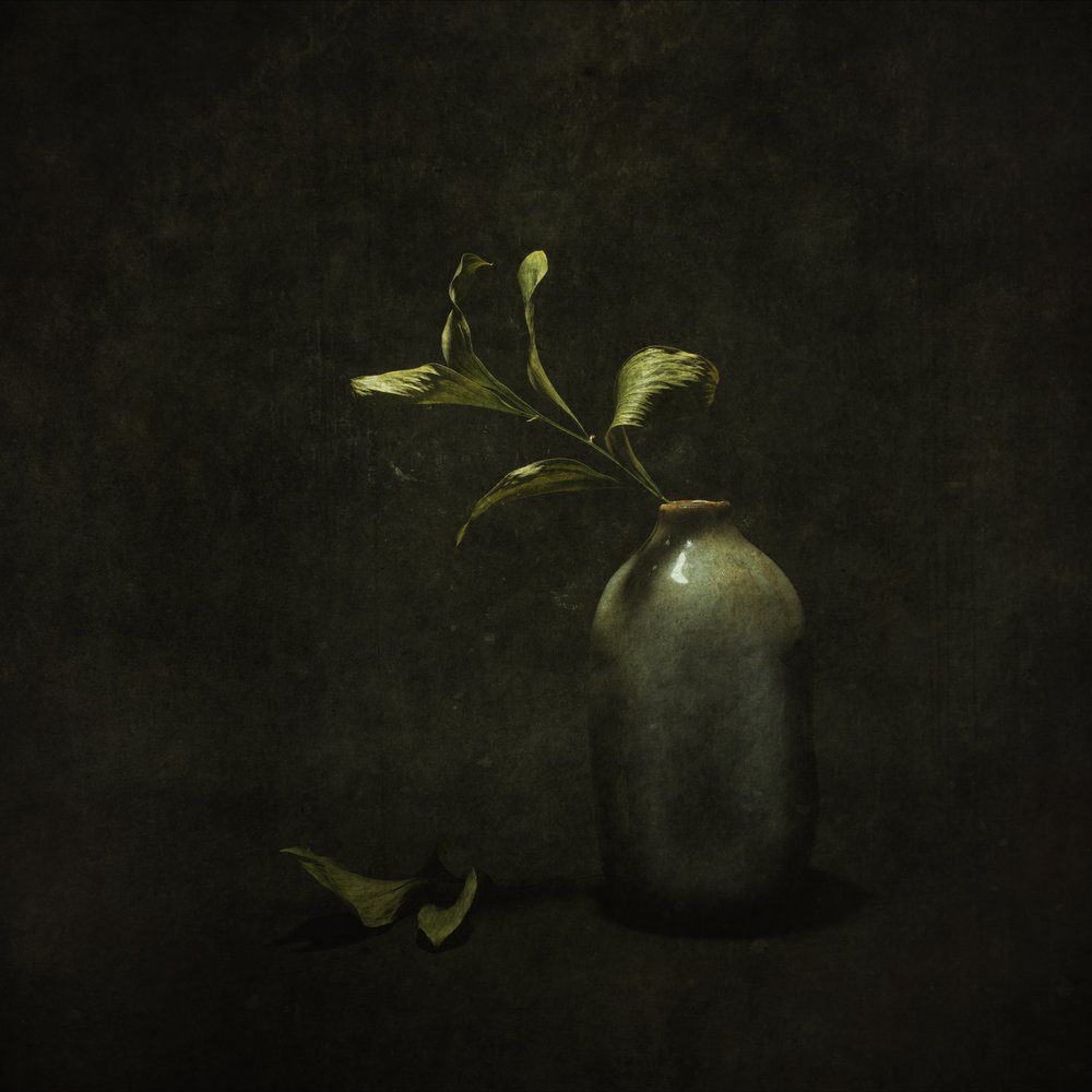 Stilleven met botanische motieven van Moody door Cicek Kiral