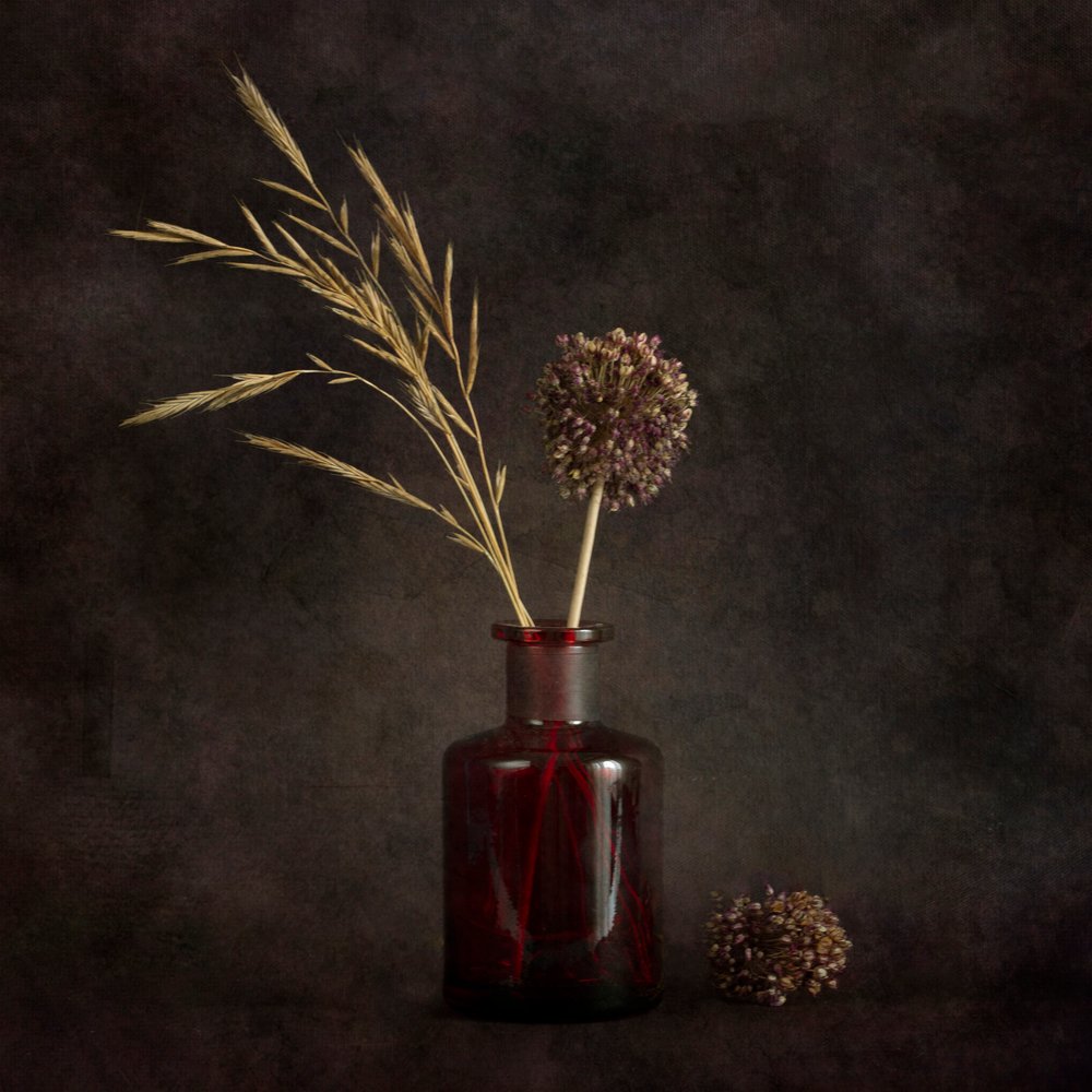 Moody Gedroogde Planten door Cicek Kiral