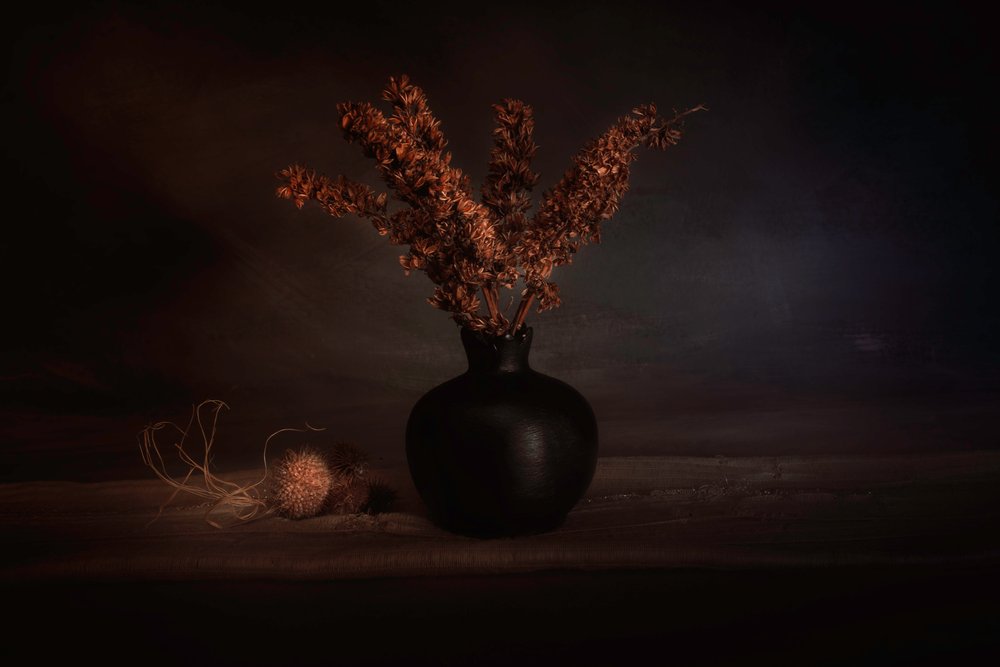 Moody Gedroogde Planten door Cicek Kiral