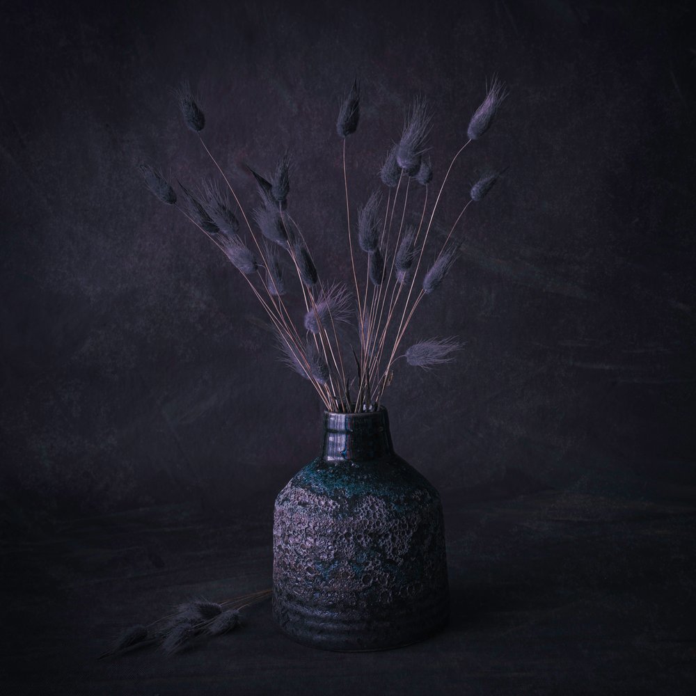 Moody gedroogde bloemen door Cicek Kiral