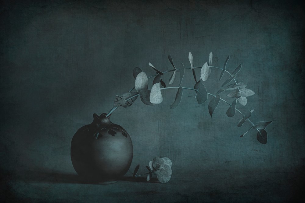 Stilleven met melancholische eucalyptus door Cicek Kiral