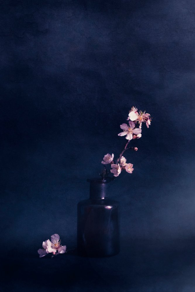 Moody bloemenvaas door Cicek Kiral