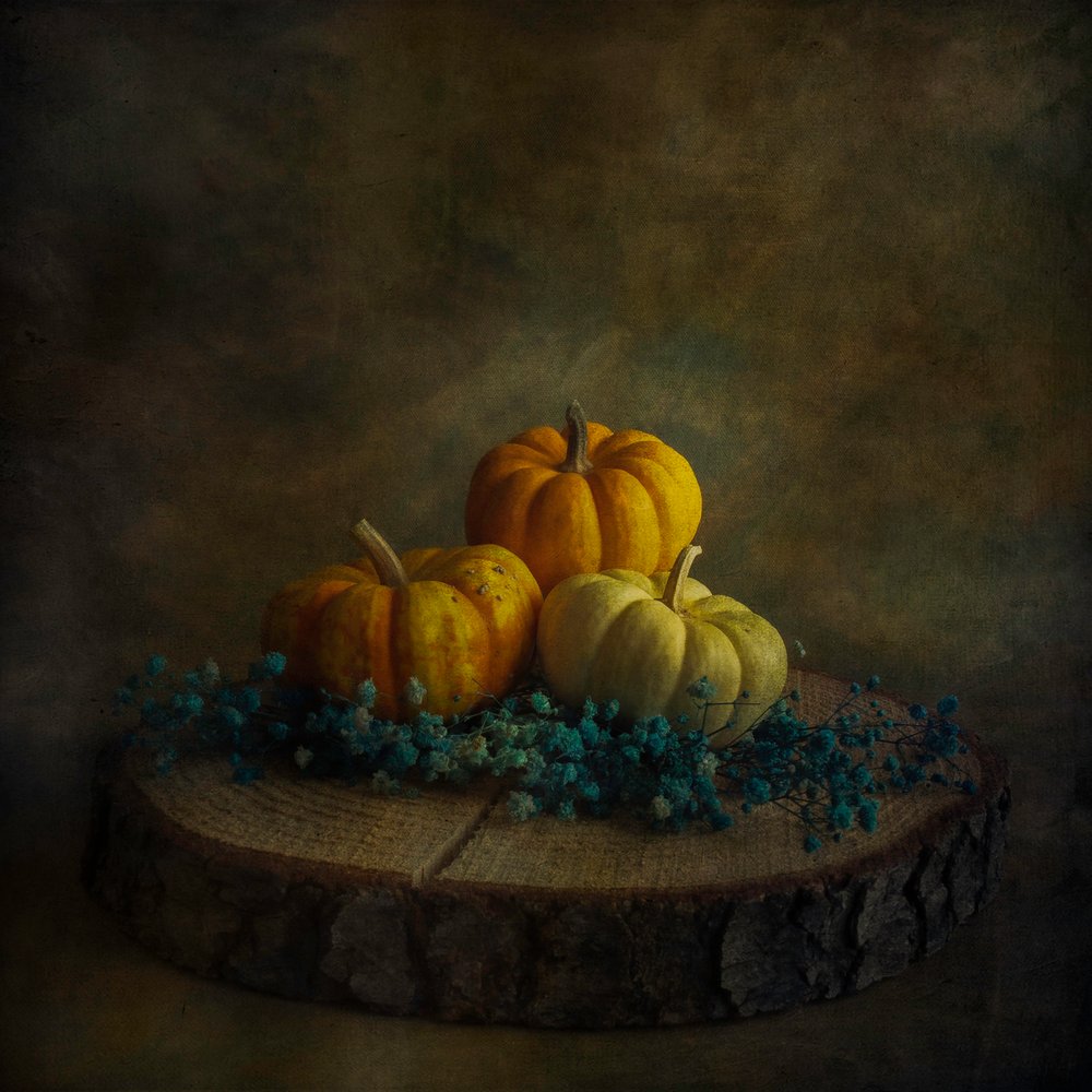 Moody Harvest-pompoenen door Cicek Kiral