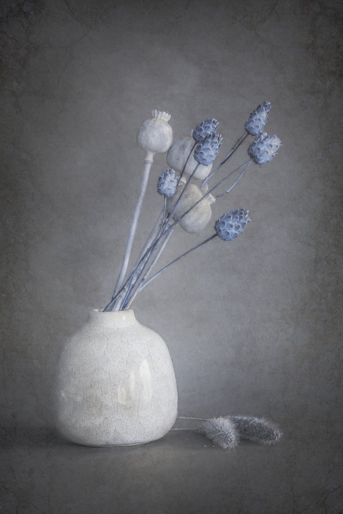 Serene gedroogde bloemen door Cicek Kiral