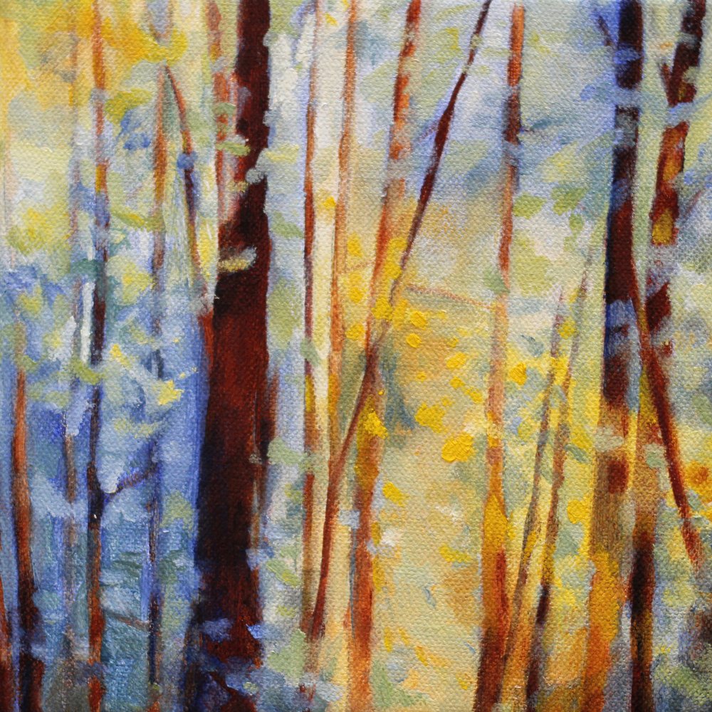  door Claire Whitehead
