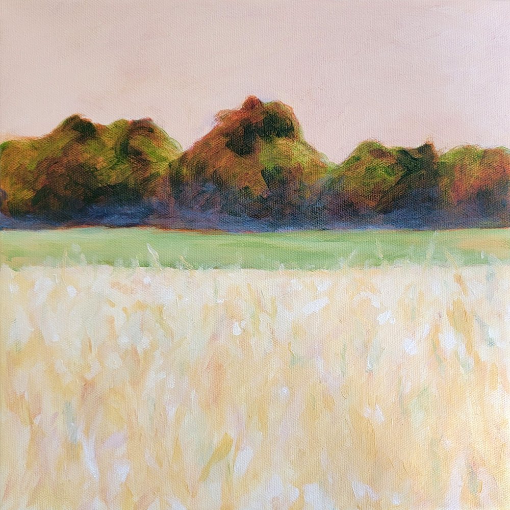  door Claire Whitehead