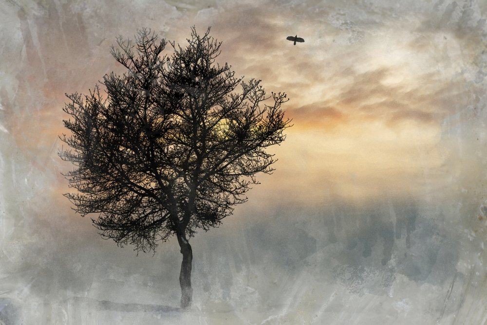 Dramatische Lone Tree door Codruta Georgescu