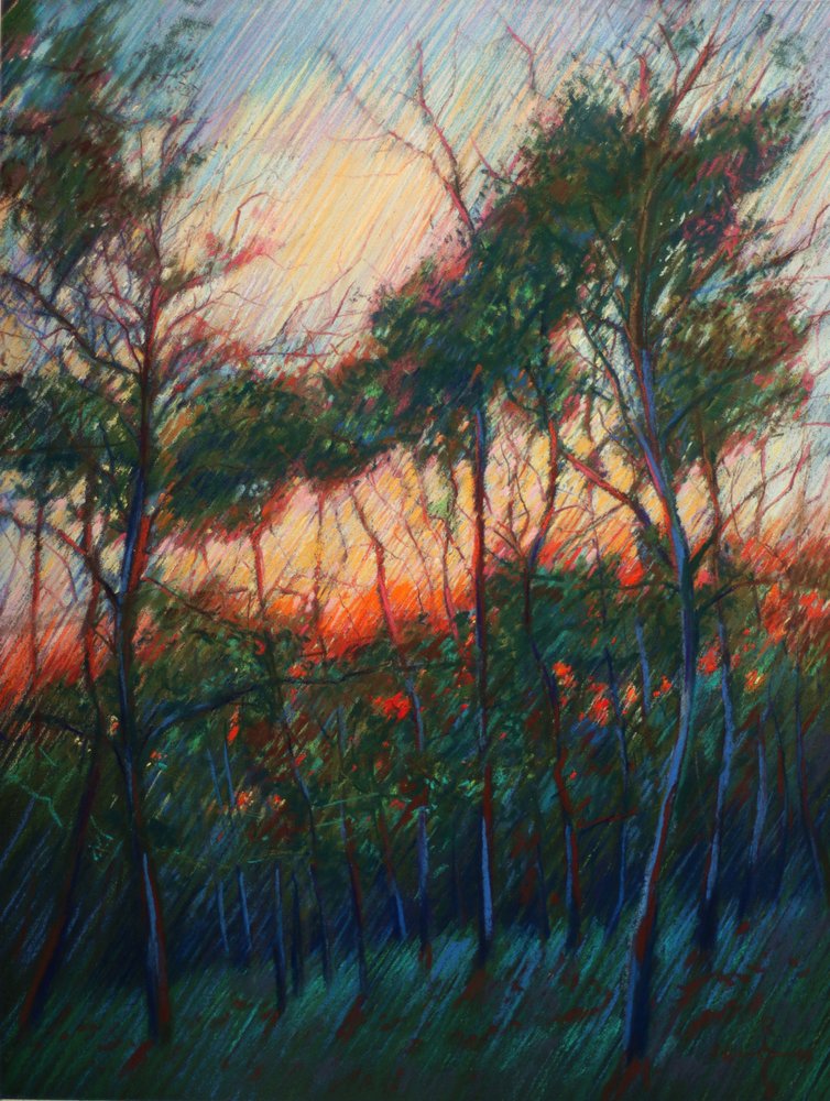 Gloed bij zonsondergang in het bos door Corné Akkers