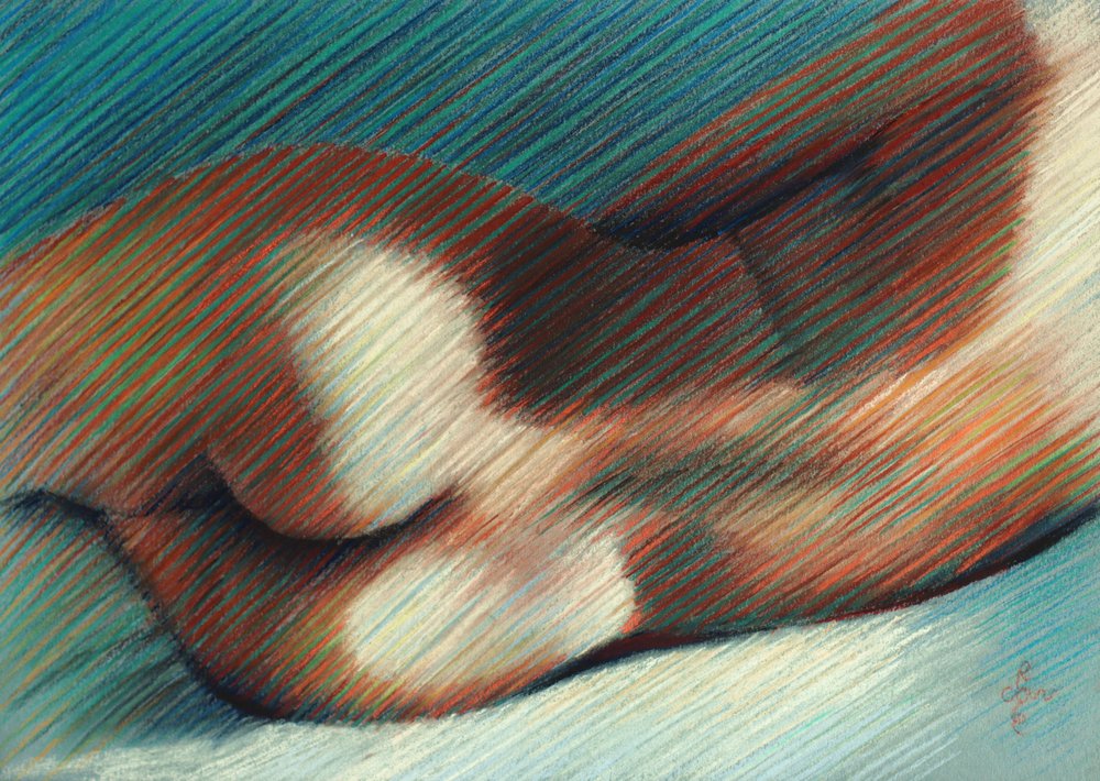 Sensuele lichaamsvormen door Corné Akkers