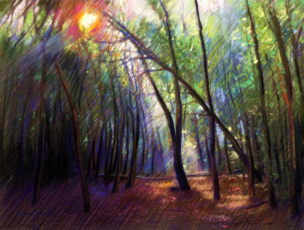 Zonlicht door de bomen door Corné Akkers