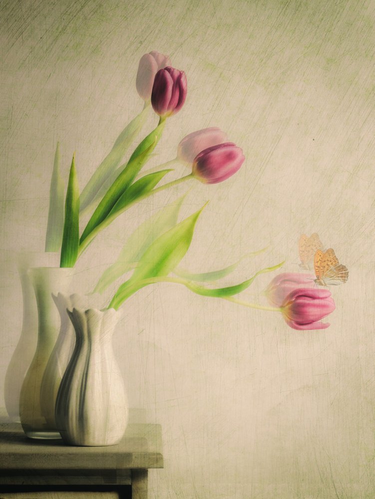 Dromerige tulpen en een vlinder door Cristiano Giani