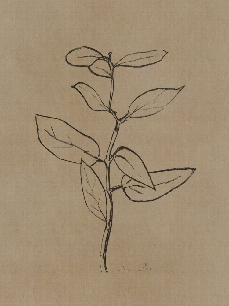 Eucalyptusjongeboom door Dan Hobday