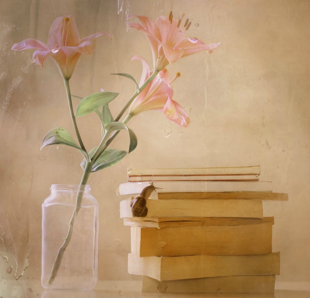 Dromerige lelies – Snail Books door Delphine Devos