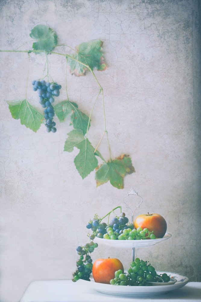 Stilleven met geoogst fruit door Delphine Devos