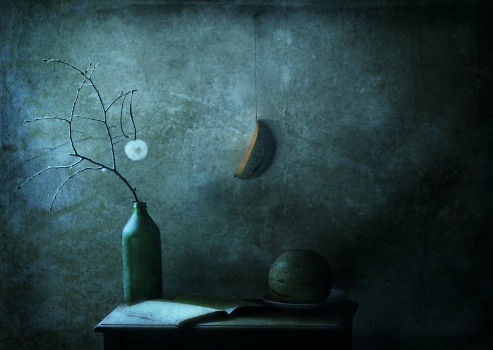  door Delphine Devos