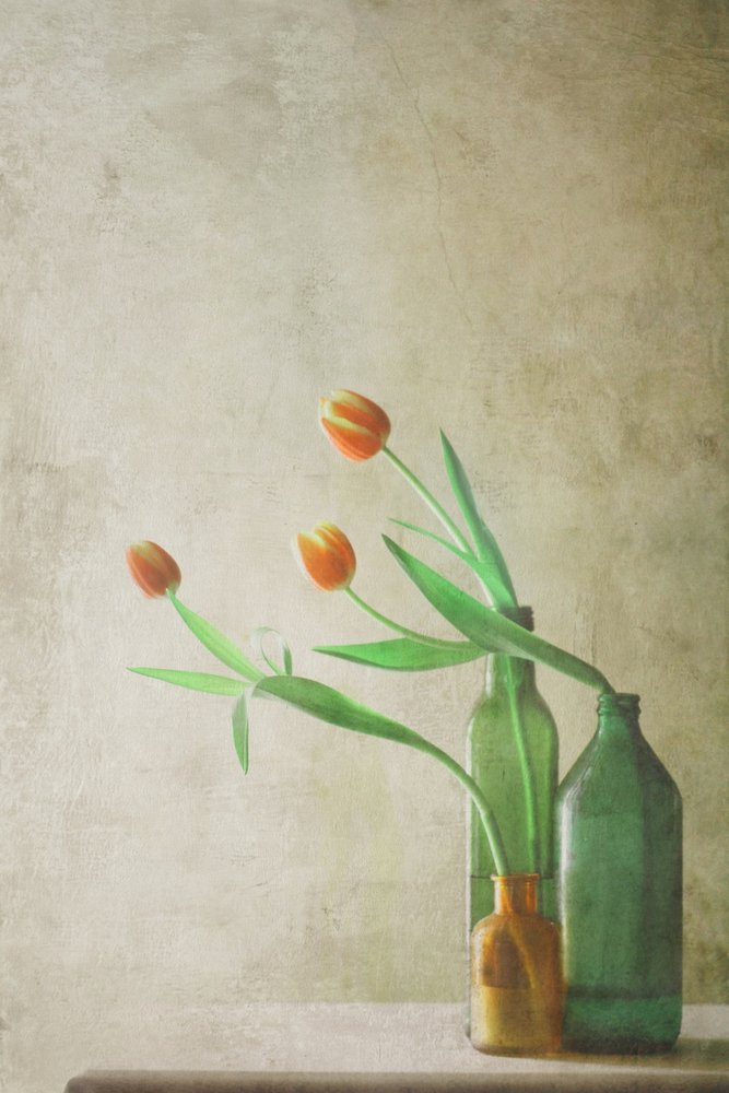  door Delphine Devos