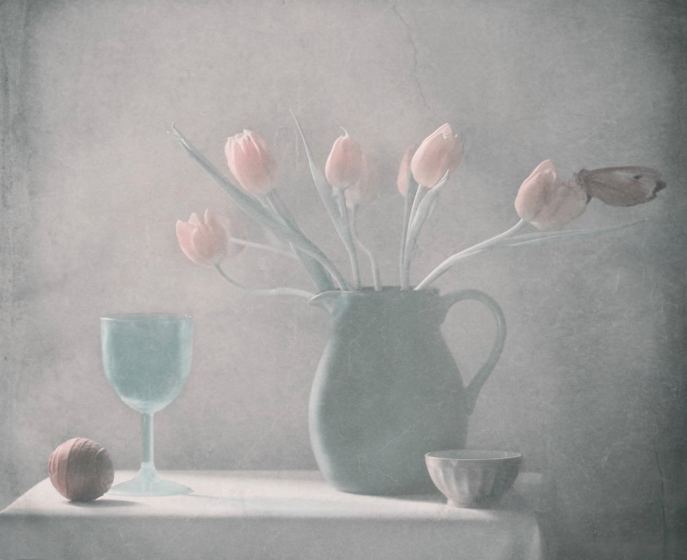  door Delphine Devos