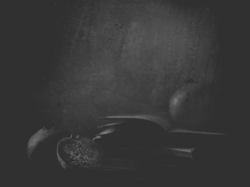  door Delphine Devos