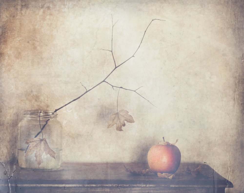  door Delphine Devos