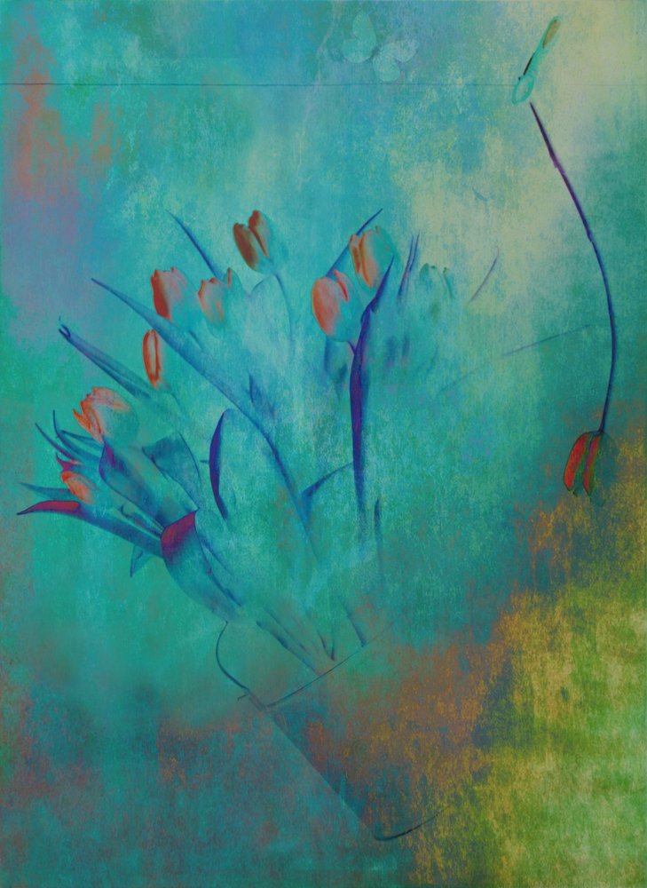  door Delphine Devos