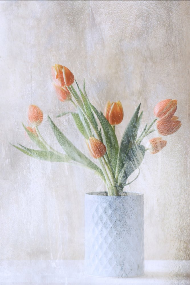  door Delphine Devos