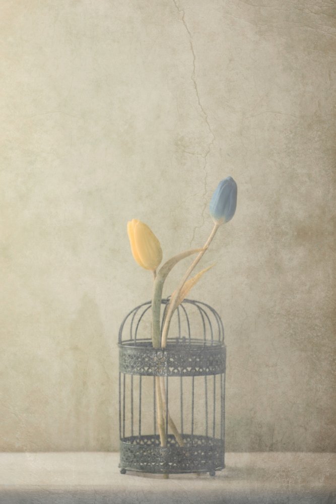  door Delphine Devos