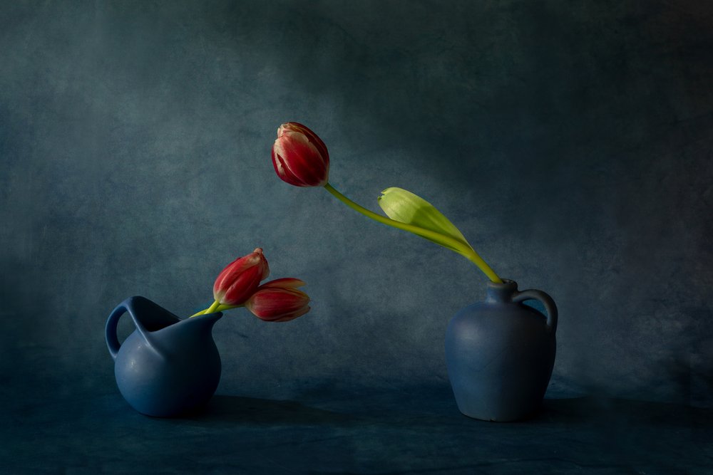 Elegant stilleven met tulpen door Dennis Zhang