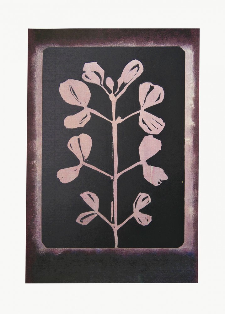 Donker botanisch silhouet door Doris Schmitz