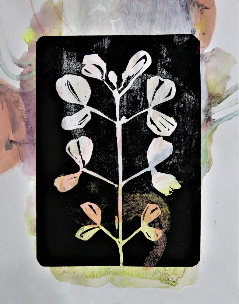Pastelstudie van planten door Doris Schmitz