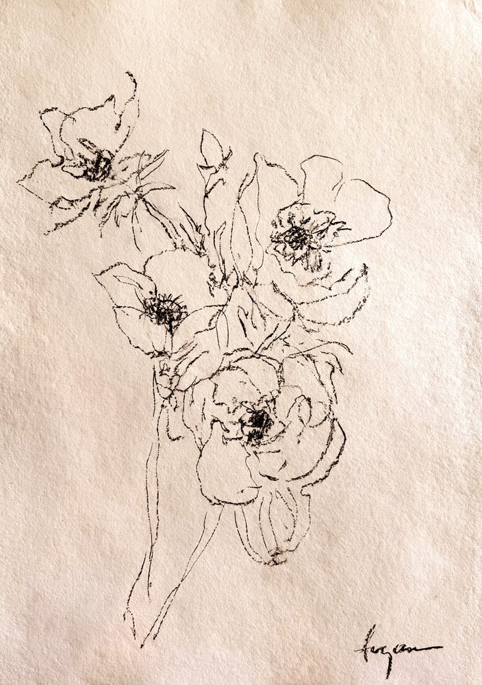Verfijnde bloemenschets door Dorothy Fagan