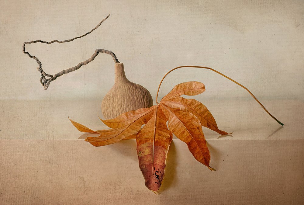Natuurlijk herfststilleven door Elena Arjona
