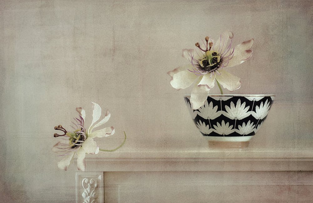 Stilleven met passiebloem door Elena Arjona