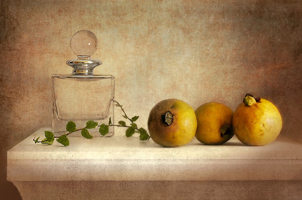 Vintage stilleven met guave door Elena Arjona