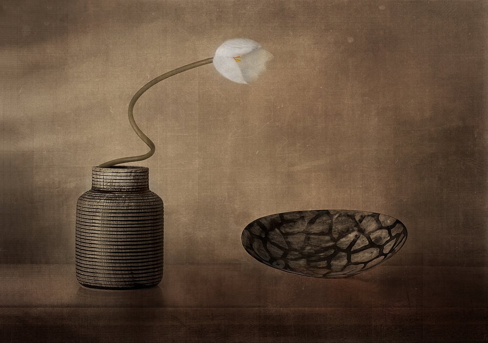 Stilleven met witte bloemen door Elena Arjona