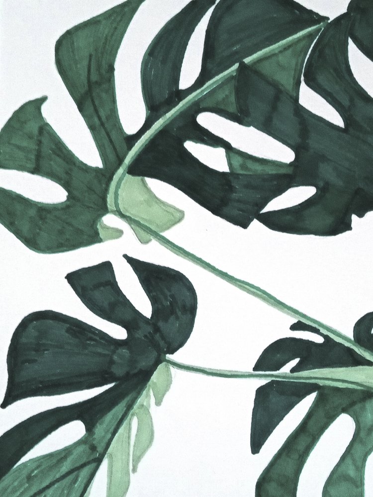 Abstract Green Monstera door Elizabeth C