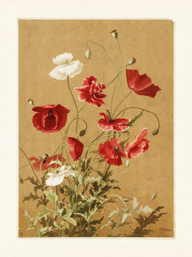 Poppies nr. 3 Door Ellen Thayer Fisher door Ellen Thayer Fisher