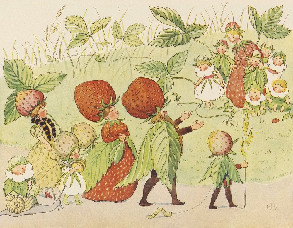 Lasse de Kleine in de tuin - De aardbeienfamilie door Elsa Beskow