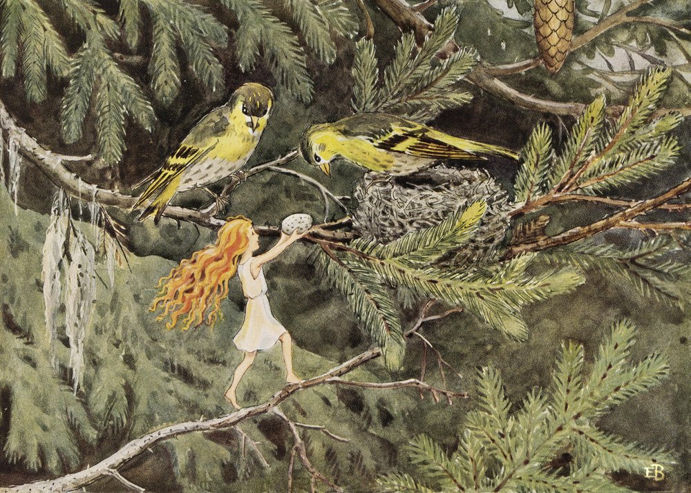 Het Zonne-ei (1932) De vogels door Elsa Beskow