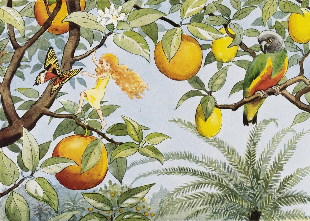 Het Zonne-ei (1932) Sollandet door Elsa Beskow