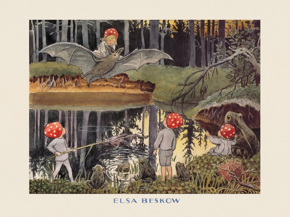 De Tomtebo-kinderen - De vleermuis Boarder door Elsa Beskow