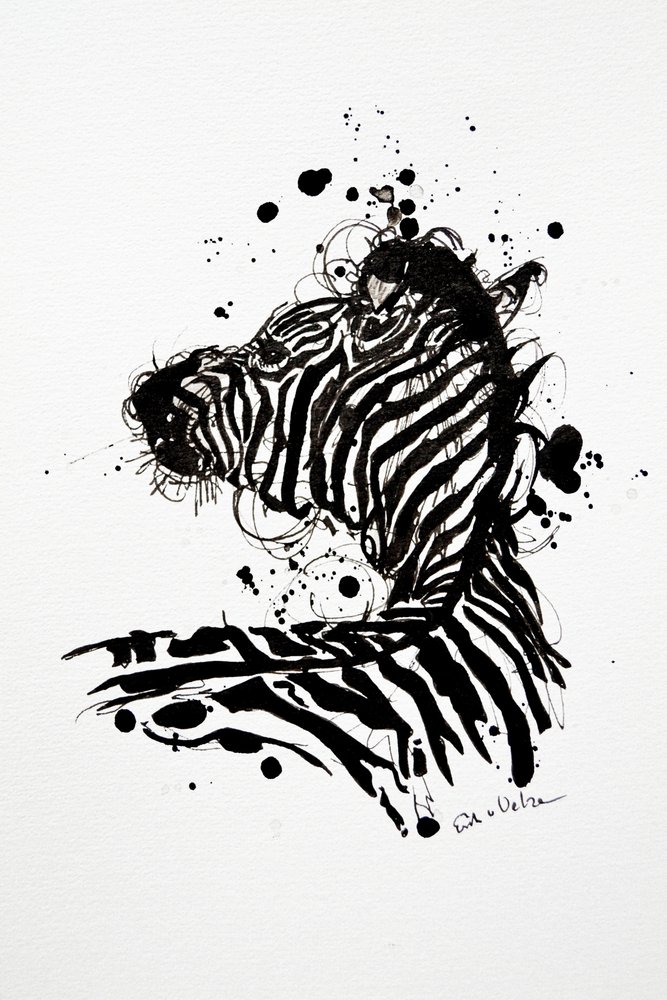 Wilde zebra-inktspat door Erik Van Velzen