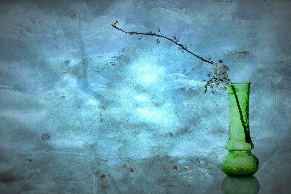 Stille blauwe bloesems door Eyal Amer