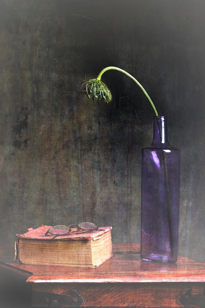 Verwelkte bloem en boek door Eyal Amer