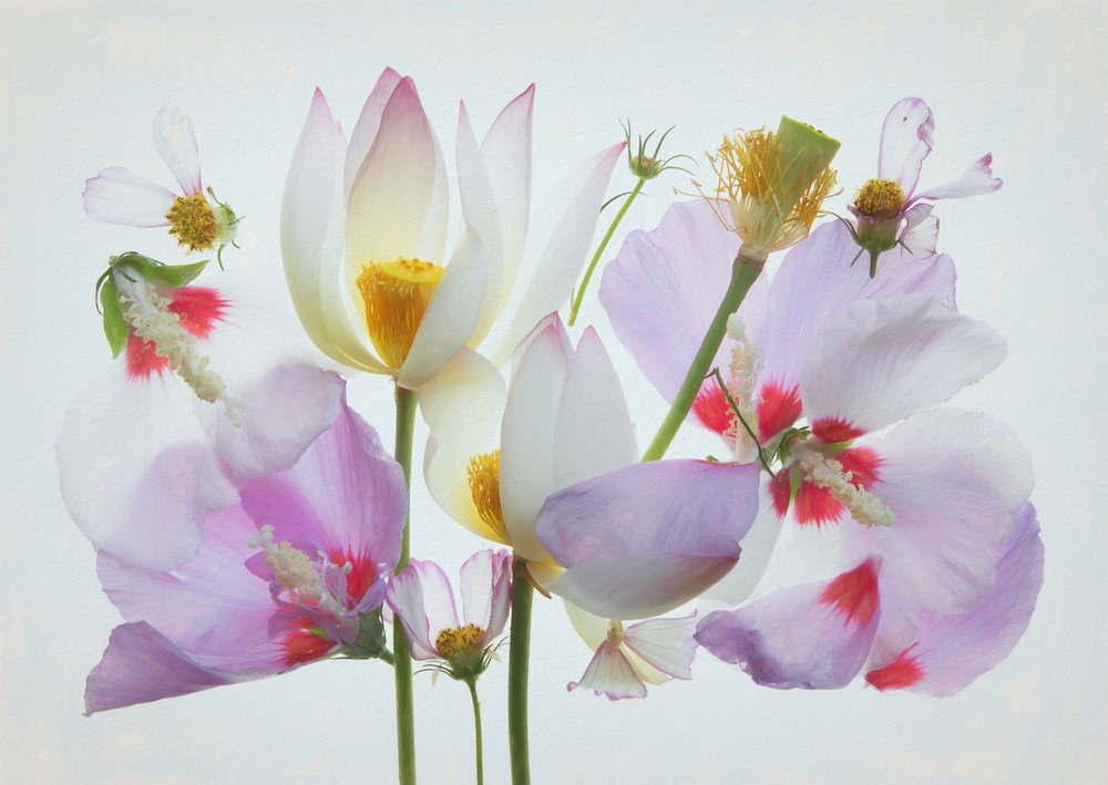 Etherische bloemcompositie door Fangping Zhou