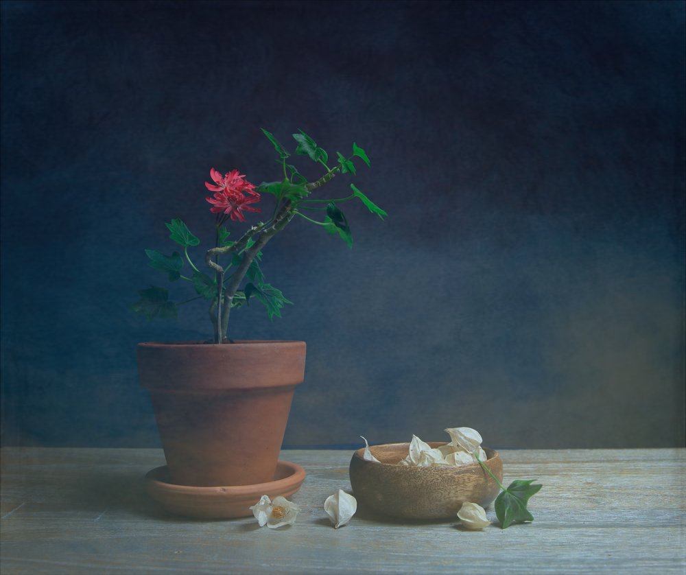 Moody-potplant door Fangping Zhou