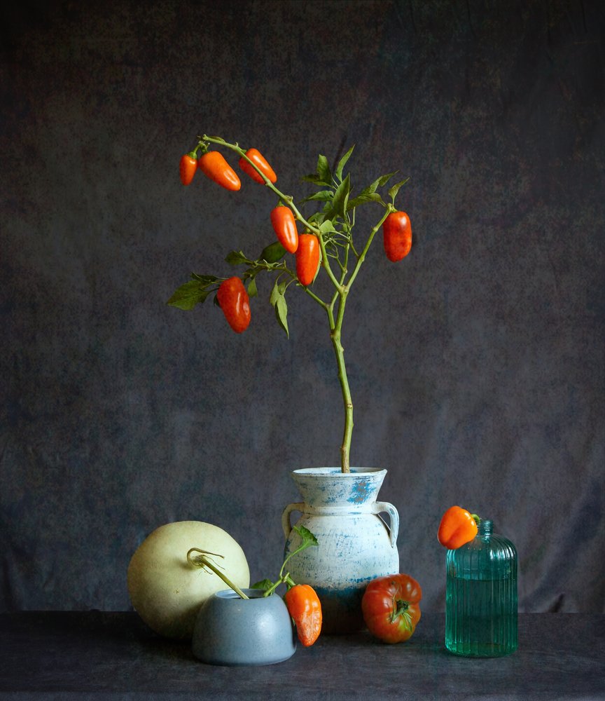 Oranje tomaten – Rustiek stilleven door Fangping Zhou